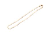 a close up of a pearl necklace on a white surface