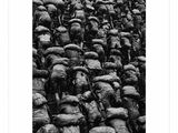 black and white photograph of a large group of soldiers