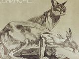 drawing of a cat and a dog sitting on the ground
