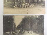 two old postcards of horses and dogs in the woods