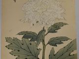 a picture of a painting of a flower on the wall