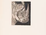 drawing of a rhino head in a black and white photo