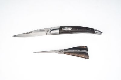 deux types de couteaux différents sur une surface blanche