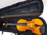 a violin in a case with a bow in it