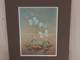 une photo d'une photo représentant une tortue et une fleur
