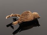 a bird that is laying down on the water