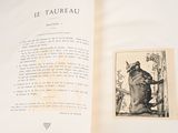 an open book with a picture of a cat on it