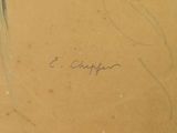 a picture of a drawing of a bird on a piece of paper
