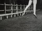 Photo 5/5 du lot