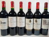 six bouteilles de vin rouge alignées sur une surface blanche