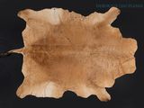 an image of a brown cowhide rug on a black background