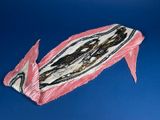 a kite that is flying in the sky with a pink tail