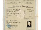 un gros plan d'un document sur lequel figure la photo d'une femme