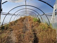 Lot de 3 tunnels en tubes galvanisés (55m x 6m chaque) dont … (photo 6)