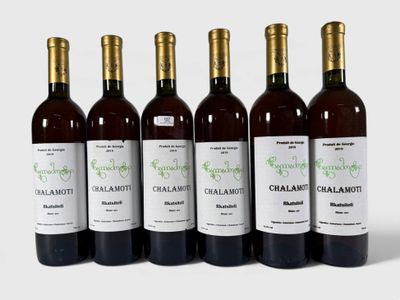 six bouteilles de vin sont alignées sur une surface blanche