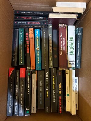 Lot de livres policiers.