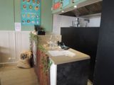 a dog that is sitting on the counter in the kitchen