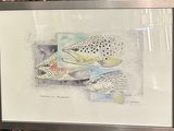 a picture of a picture of a fish in a picture frame