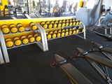 a gym room with a row of dumbs and a row of exercise bikes