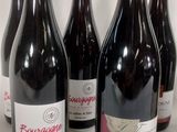 six bottles of red wine are lined up on a table