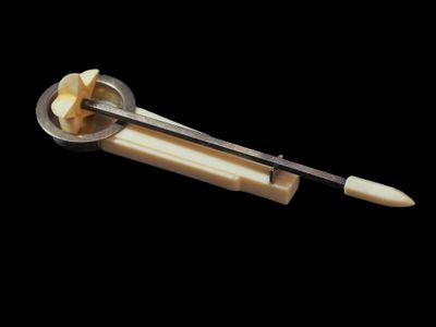 une image montrant un gros plan d'une brosse à dents et de dentifrice