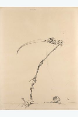 an image of a drawing of a bird with a long beak