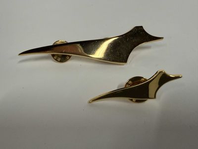 une paire de barrettes dorées posées sur une surface blanche
