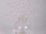un vase en verre contenant un peu d'eau