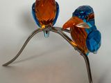 deux oiseaux bleus et orange perchés sur une branche