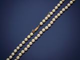 a pearl necklace with a gold clasp on a blue background