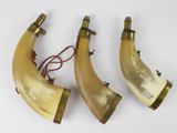 pair of horn lamps with brass fittings and cord