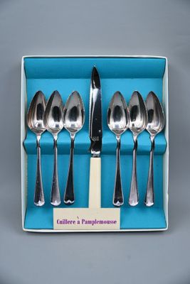 cinq cuillères et un couteau dans une boîte bleue
