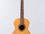 an image of a guitar hanging on a wall with a white background