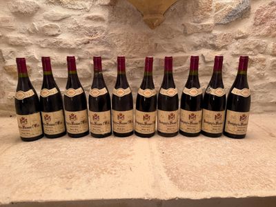 10 B Savigny les Beaune 1er cru "Les Vergelesses".