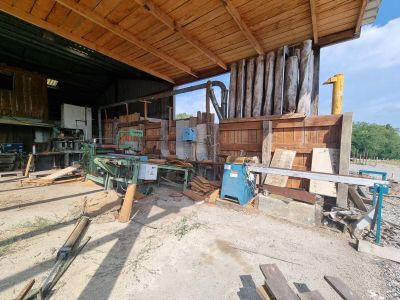 de nombreux morceaux de bois qui traînent par terre