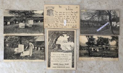 plusieurs vieilles photographies en noir et blanc représentant des personnes dans un cimetière