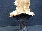 sculpture of a woman ' s head on a black base