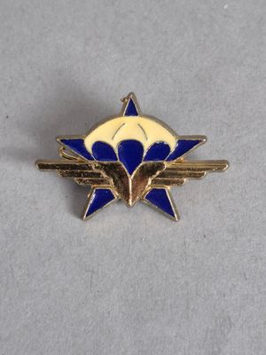 une broche de revers ornée d'une fleur bleue et blanche