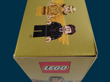a box that has a lego figure on it
