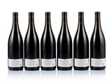 six bottles of wine lined up in a row on a white surface