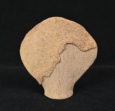 a close up of a stone vase with a black background
