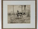 an old picture of a deer in a wooded area with trees in the background