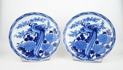 two blue and white plates with peacocks and flowers on them