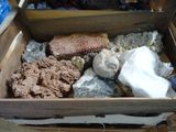 une boîte en bois remplie de différentes sortes de roches et de pierres