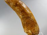 a banana that is sitting on a stand on a table