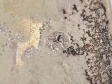 a close up of a white plate with black and white designs on it