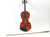 a violin that is sitting next to a stick