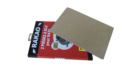 deux livres sont empilés l'un sur l'autre sur une surface blanche