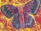 une image représentant un papillon coloré sur un fond rouge et jaune