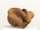 a wooden sculpture of a shell on top of a white pedestal